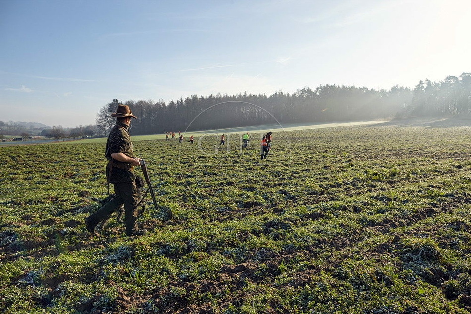 114456 Jäger mit Deutsch Drahthaar bei Treibjagd