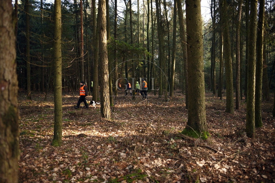 114465 Jäger im Wald bei einer Treibjagd