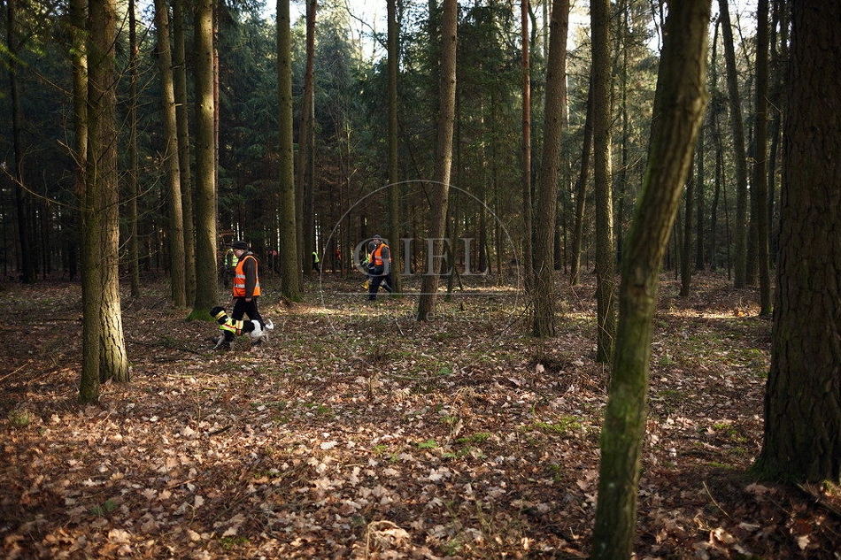 114466 Jäger im Wald bei einer Treibjagd