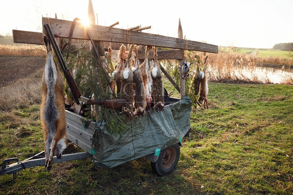 114471 Jagdstrecke nach einer Treibjagd