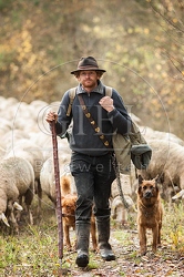 080676 Schaefer, Altdeutsche Huetehunde und Merino Schafe, Schafherde