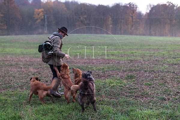 080720 Schaefer und Altdeutsche Huetehunde