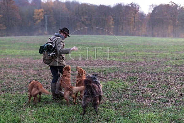 080721 Schaefer und Altdeutsche Huetehunde