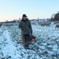 097578 Schaefer, Altdeutsche Huetehunde und Merino Schafe