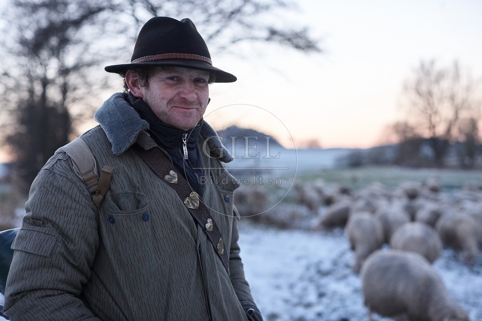 Schaefer, Altdeutsche Huetehunde und Merino Schafe, Schafherde im Winter 097609.jpg