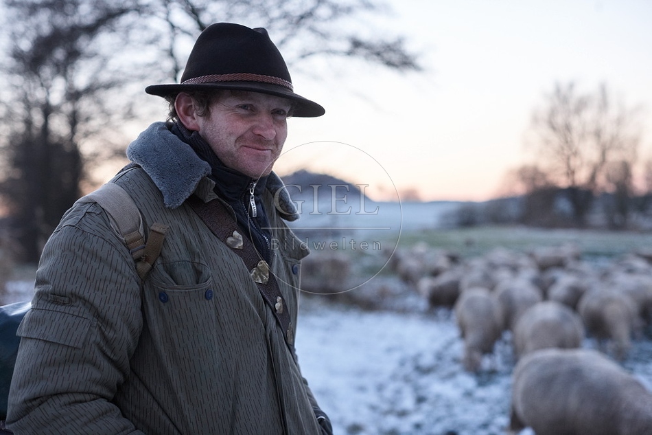 Schaefer, Altdeutsche Huetehunde und Merino Schafe, Schafherde im Winter 097610.jpg