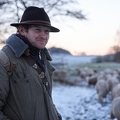 097610 Schaefer, Altdeutsche Huetehunde und Merino Schafe