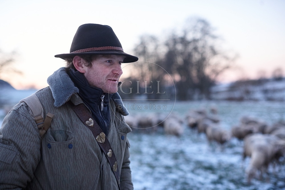 Schaefer, Altdeutsche Huetehunde und Merino Schafe, Schafherde im Winter 097612.jpg