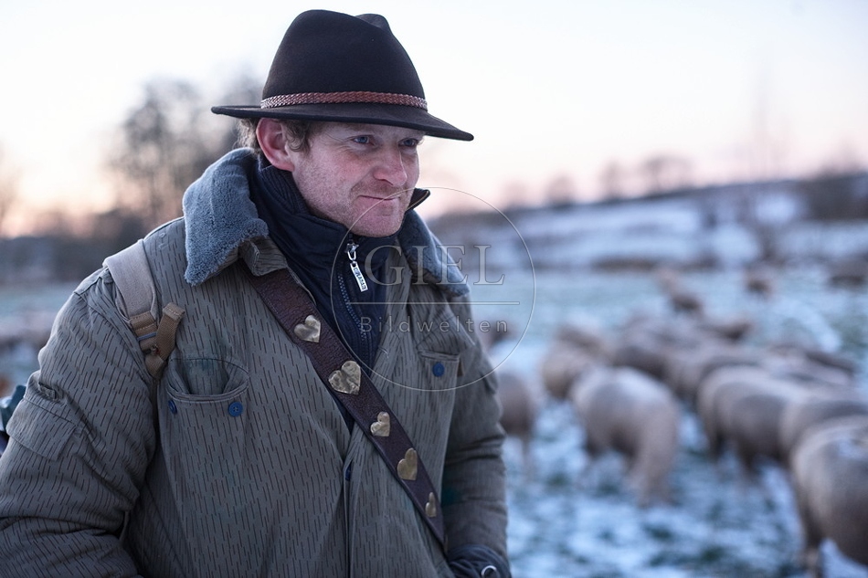 Schaefer, Altdeutsche Huetehunde und Merino Schafe, Schafherde im Winter 097613.jpg