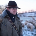 097613 Schaefer, Altdeutsche Huetehunde und Merino Schafe