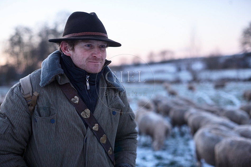 Schaefer, Altdeutsche Huetehunde und Merino Schafe, Schafherde im Winter 097614.jpg