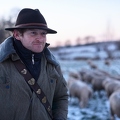 097614 Schaefer, Altdeutsche Huetehunde und Merino Schafe
