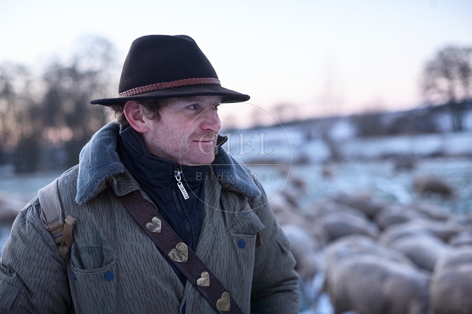 Schaefer, Altdeutsche Huetehunde und Merino Schafe, Schafherde im Winter 097615.jpg