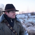 097615 Schaefer, Altdeutsche Huetehunde und Merino Schafe