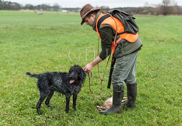 072190 Jaeger und Deutsch Drahthaar auf Treibjagd