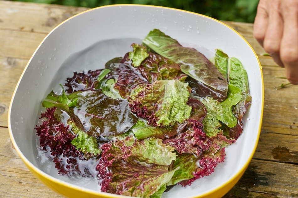 116708 Salat waschen