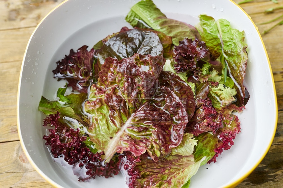 116709 Salat waschen