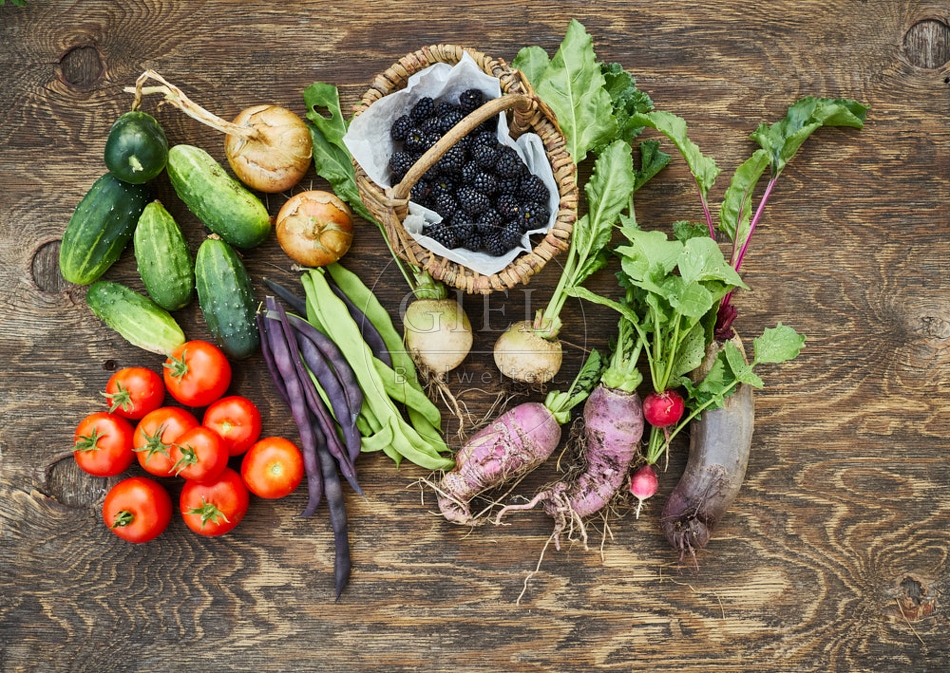 117111 Geerntetes Gemüse aus dem Garten