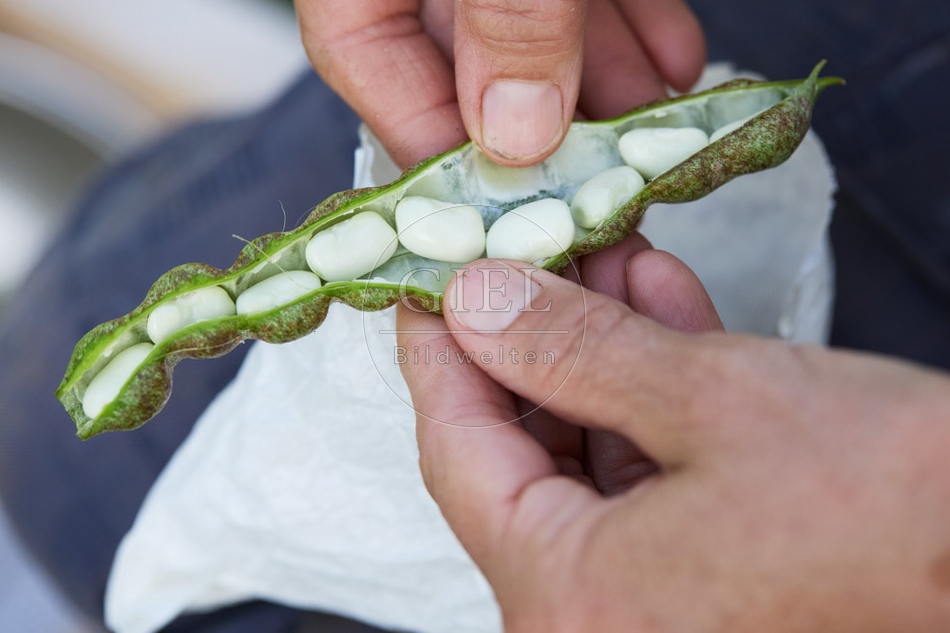 117281 Stangenbohne Neckarkönigin