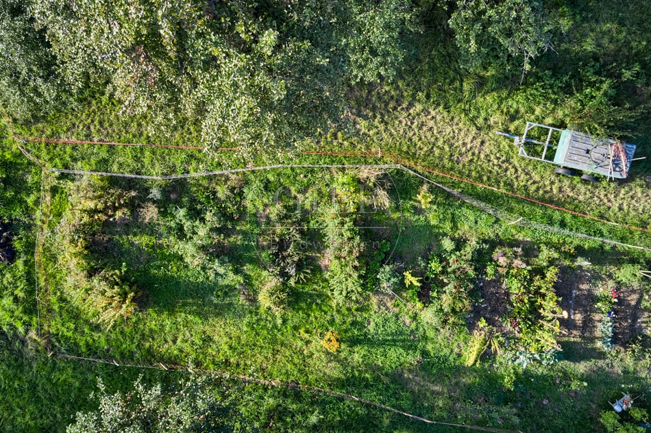 117299 Gemüsegarten von oben