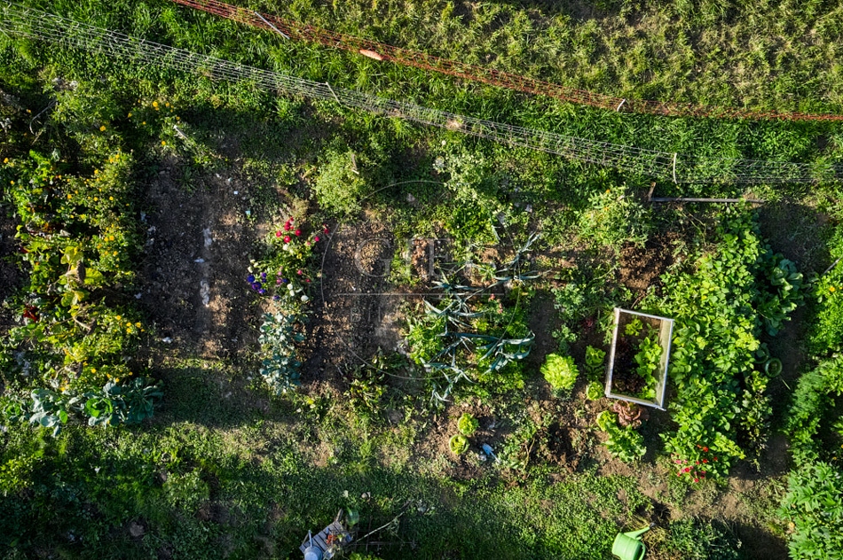 117304 Gemüsegarten von oben