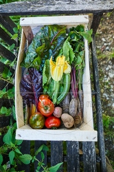 117306 Geerntetes Gemüse, Gemüsekiste