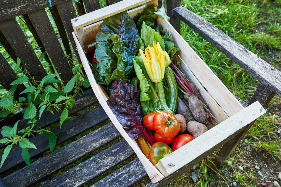 117308 Geerntetes Gemüse, Gemüsekiste