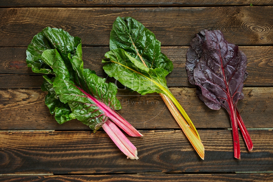117369 Mangoldblätter, verschiedene Farben