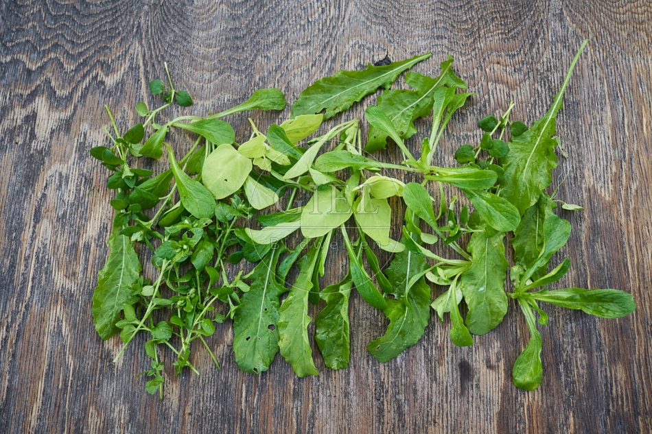 118075 Verschiedene Salatblätter